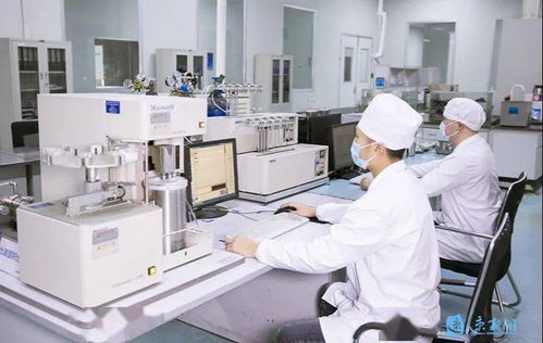 新華日報頭版頭條點贊宿遷 電子專用材料研發引領產業創新